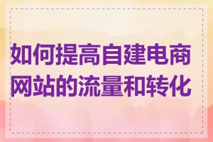 如何提高自建电商网站的流量和转化率