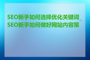 SEO新手如何选择优化关键词_SEO新手如何做好网站内容策划