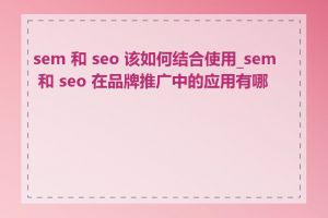 sem 和 seo 该如何结合使用_sem 和 seo 在品牌推广中的应用有哪些