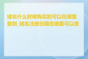 域名什么时候购买的可以在哪里查到_域名注册日期在哪里可以查到