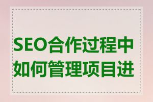 SEO合作过程中如何管理项目进度