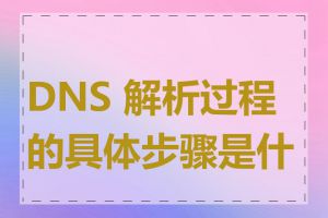 DNS 解析过程的具体步骤是什么