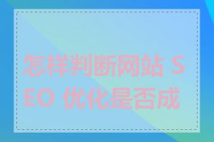 怎样判断网站 SEO 优化是否成功