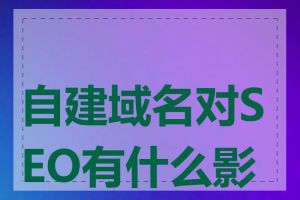 自建域名对SEO有什么影响