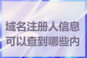 域名注册人信息可以查到哪些内容