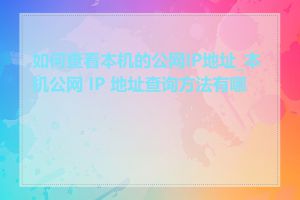 如何查看本机的公网IP地址_本机公网 IP 地址查询方法有哪些