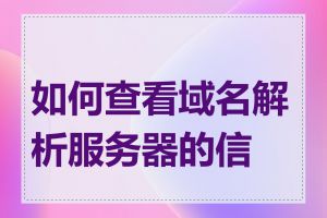 如何查看域名解析服务器的信息