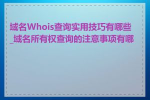 域名Whois查询实用技巧有哪些_域名所有权查询的注意事项有哪些
