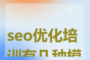 seo优化培训有几种模式