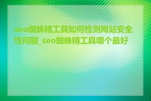 seo蜘蛛精工具如何检测网站安全性问题_seo蜘蛛精工具哪个最好用