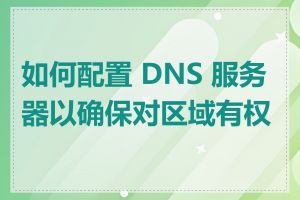 如何配置 DNS 服务器以确保对区域有权威