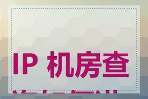 IP 机房查询如何进行