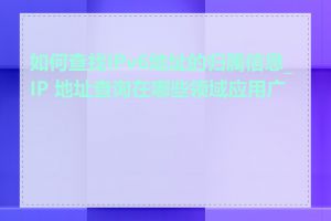 如何查找IPv6地址的归属信息_IP 地址查询在哪些领域应用广泛