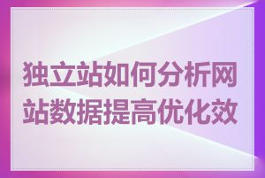 独立站如何分析网站数据提高优化效果