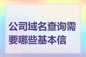 公司域名查询需要哪些基本信息