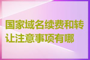 国家域名续费和转让注意事项有哪些