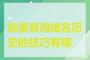 批量查询域名历史的技巧有哪些