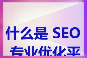 什么是 SEO 专业优化平台