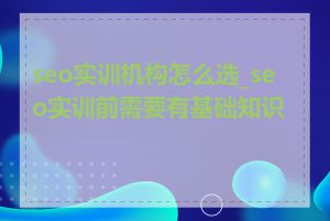 seo实训机构怎么选_seo实训前需要有基础知识吗