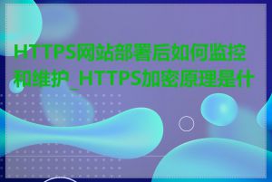 HTTPS网站部署后如何监控和维护_HTTPS加密原理是什么