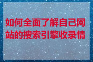 如何全面了解自己网站的搜索引擎收录情况