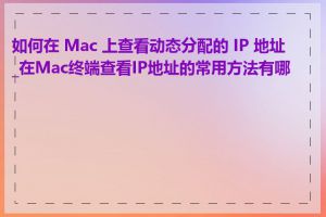 如何在 Mac 上查看动态分配的 IP 地址_在Mac终端查看IP地址的常用方法有哪些
