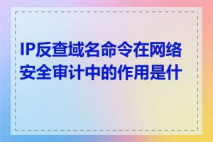 IP反查域名命令在网络安全审计中的作用是什么