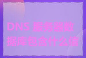 DNS 服务器数据库包含什么信息
