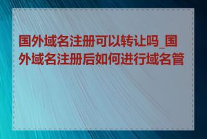 国外域名注册可以转让吗_国外域名注册后如何进行域名管理