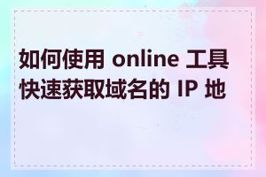 如何使用 online 工具快速获取域名的 IP 地址