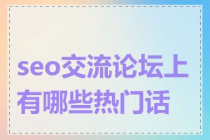 seo交流论坛上有哪些热门话题