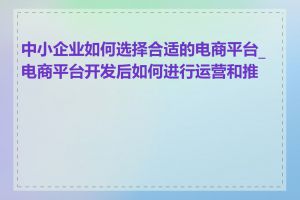 中小企业如何选择合适的电商平台_电商平台开发后如何进行运营和推广