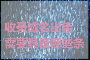 收录域名出售需要具备哪些条件