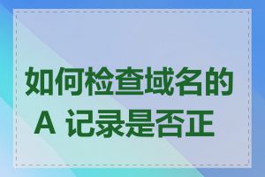 如何检查域名的 A 记录是否正确