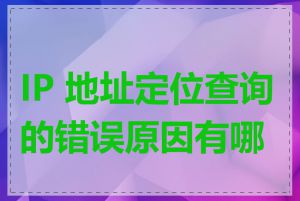 IP 地址定位查询的错误原因有哪些