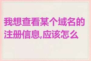 我想查看某个域名的注册信息,应该怎么做