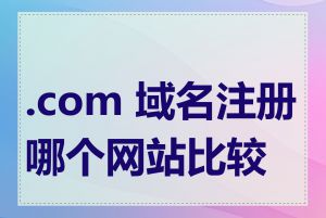 .com 域名注册哪个网站比较好