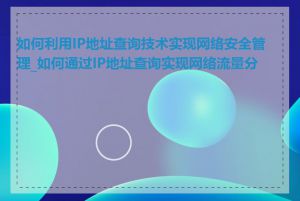 如何利用IP地址查询技术实现网络安全管理_如何通过IP地址查询实现网络流量分析
