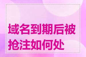 域名到期后被抢注如何处理
