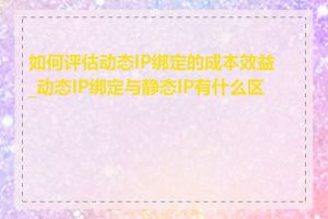 如何评估动态IP绑定的成本效益_动态IP绑定与静态IP有什么区别
