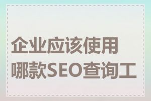 企业应该使用哪款SEO查询工具