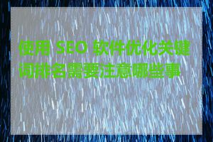 使用 SEO 软件优化关键词排名需要注意哪些事项