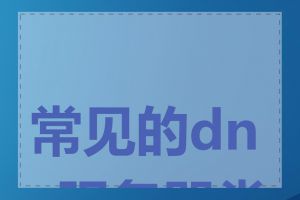 常见的dns服务器类型
