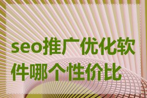 seo推广优化软件哪个性价比高