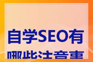 自学SEO有哪些注意事项