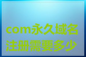 com永久域名注册需要多少钱