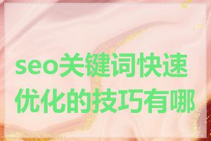 seo关键词快速优化的技巧有哪些