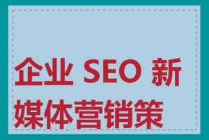 企业 SEO 新媒体营销策略