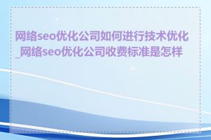 网络seo优化公司如何进行技术优化_网络seo优化公司收费标准是怎样的