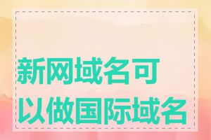 新网域名可以做国际域名吗